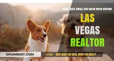 Small Dog Policies in Las Vegas Rentals: Realtor Insights for Pet Owners