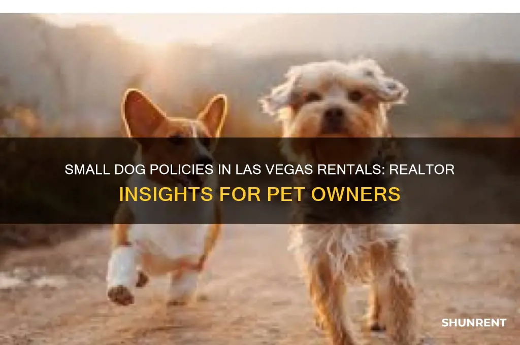 what does small dog mean when renting las vegas realtor