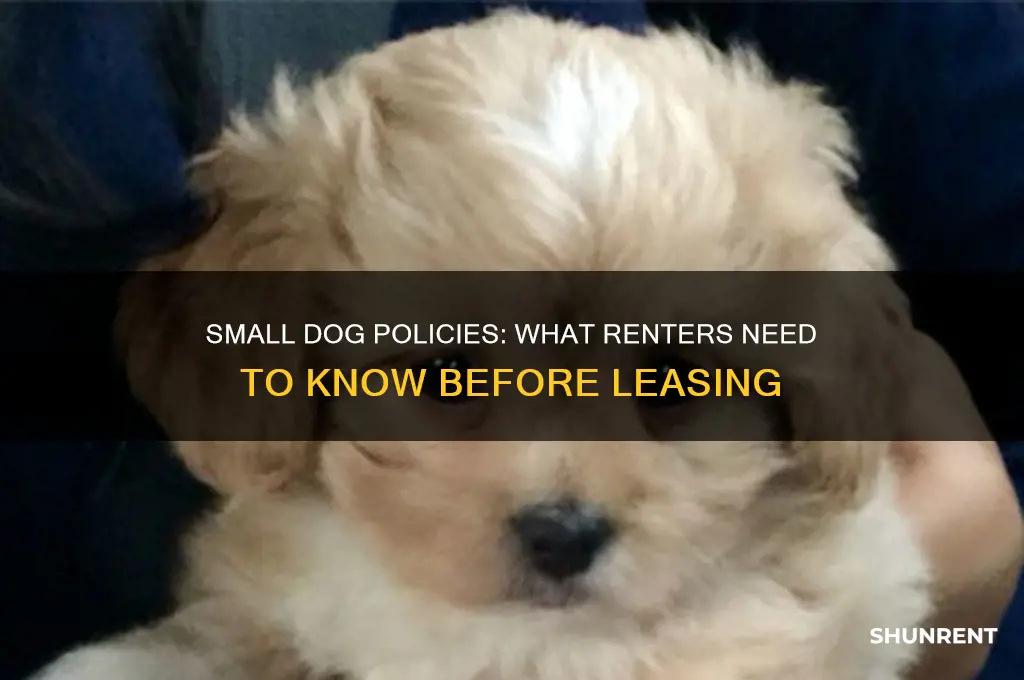 what does small dog mean when renting