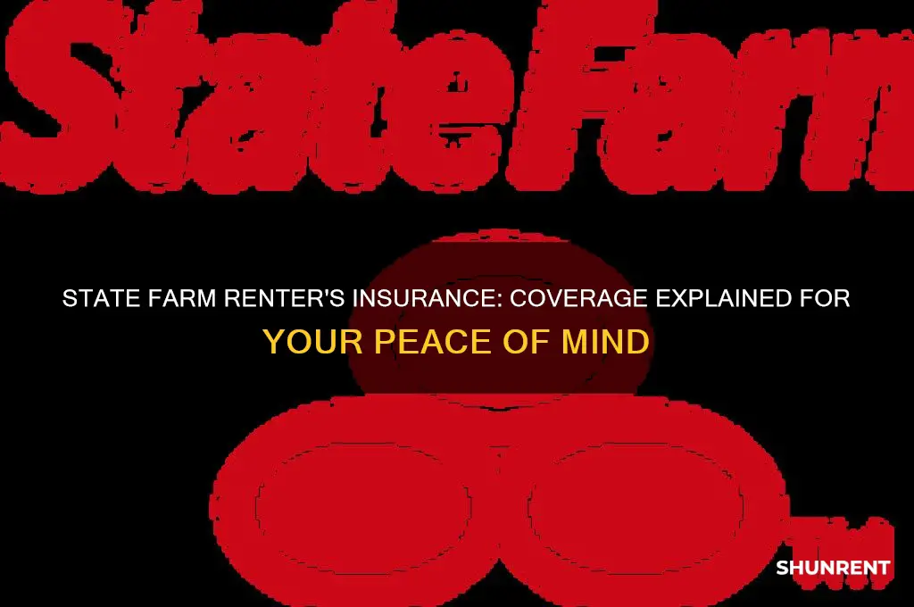 what does state farm renter