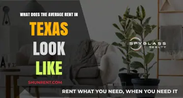 Exploring Texas Rent Trends: Average Costs Across the Lone Star State