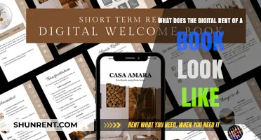 Exploring the Digital Rent Concept: What Does a Book's Virtual Lease Entail?