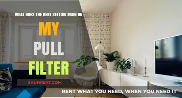 Understanding Rent Setting Main Function on Your Pull Filter System