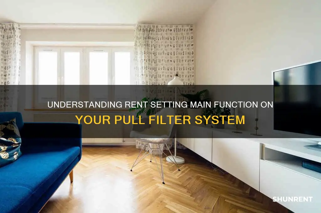 what does the rent setting main on my pull filter