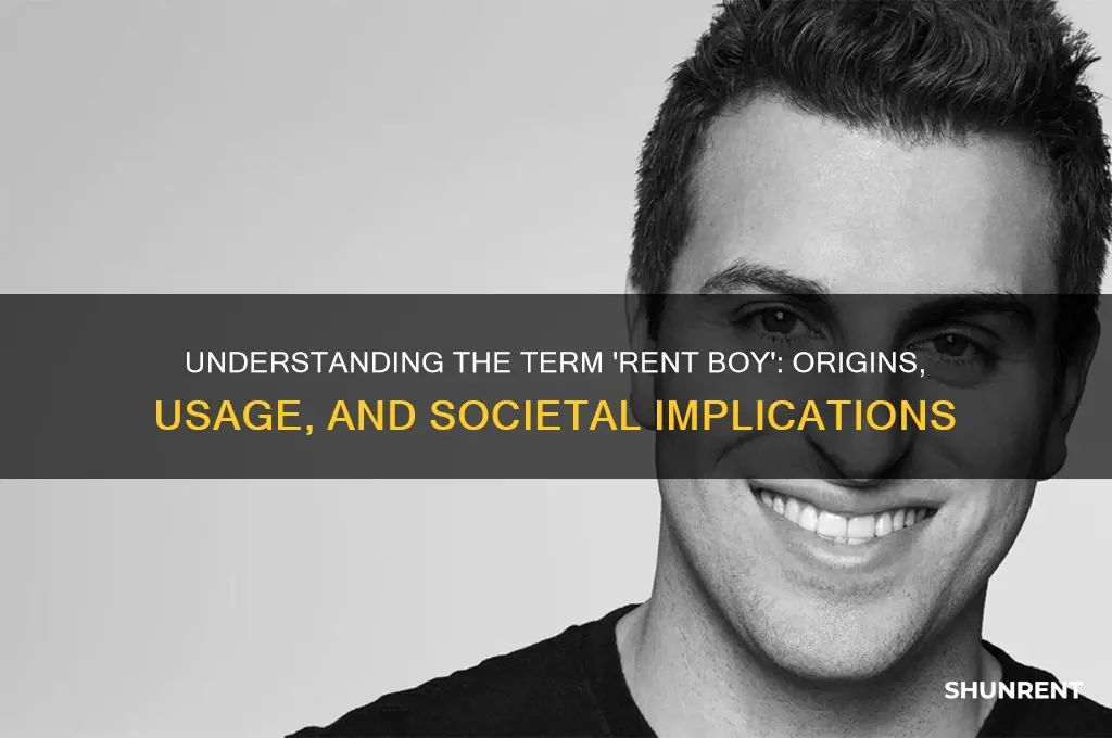 what does the term rent boy mean