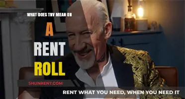 Understanding TNV on Rent Rolls: Meaning, Importance, and Practical Applications