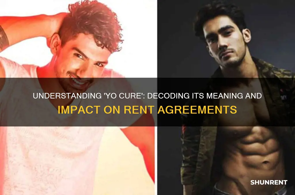 what does yo cure mean regarding rent