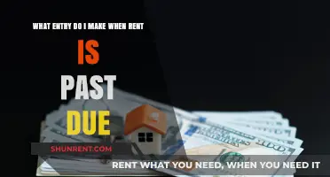 Handling Past Due Rent: Essential Journal Entry Tips for Landlords