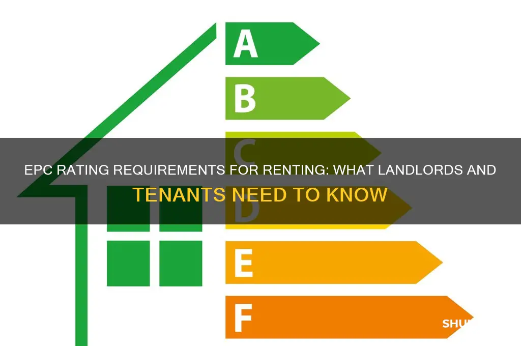 what epc rating do you need to rent