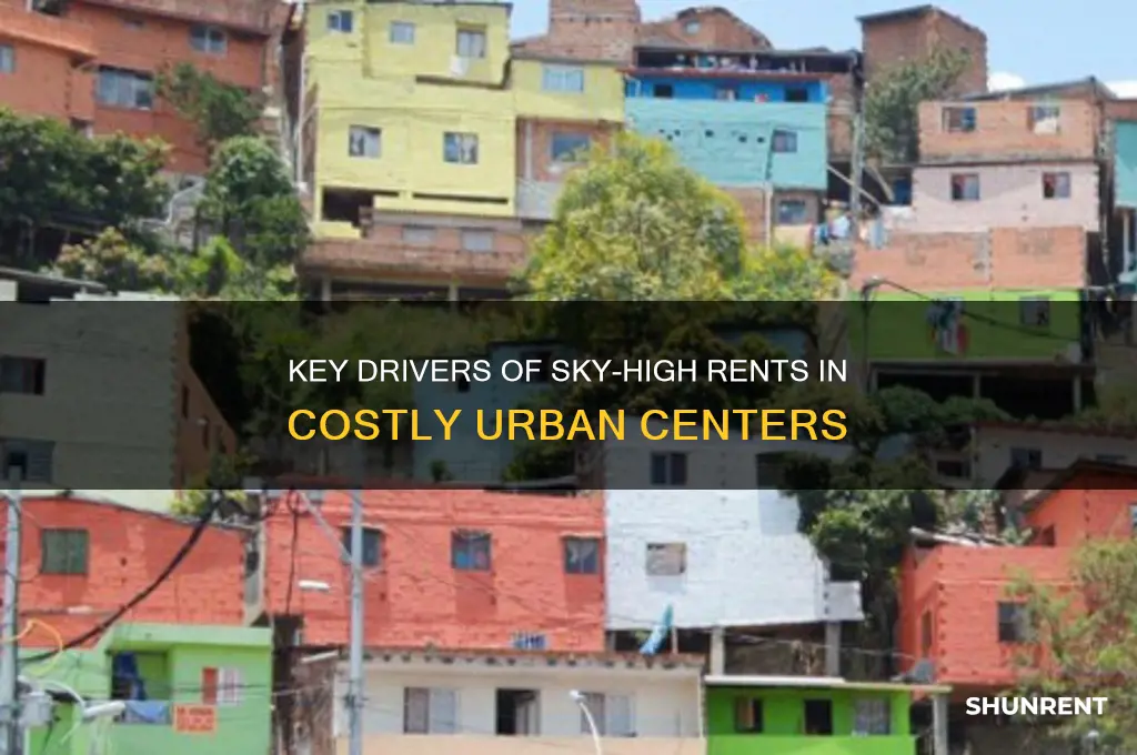 what factors affect rents in expensive cities