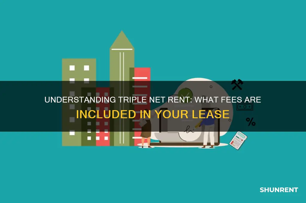 what fees are included in triple net rent