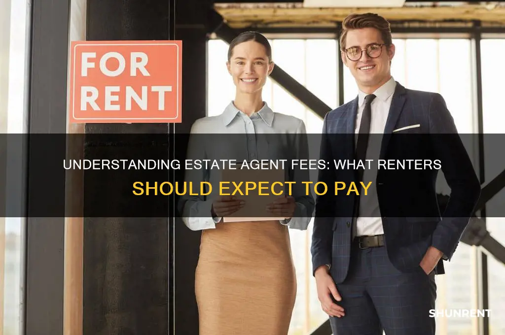 what fees do estate agents charge for renting