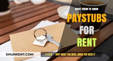 How to Present Paystubs for Rent: Essential Form Guide