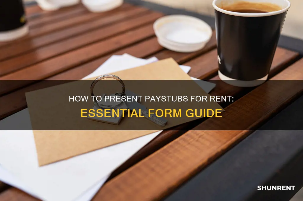 what form to show paystubs for rent