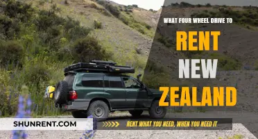 Best 4WD Rental Options for Exploring New Zealand's Adventures