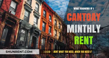 Consequences of Failing to Pay Monthly Rent: What You Need to Know