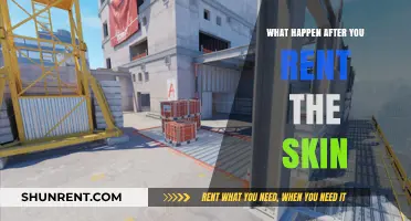 Renting Skins: What Happens Next and What You Need to Know