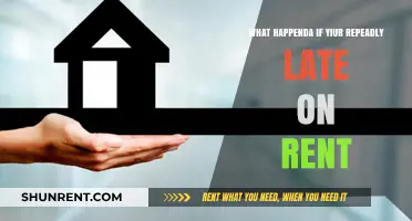 Consequences of Repeated Late Rent Payments: What Tenants Need to Know