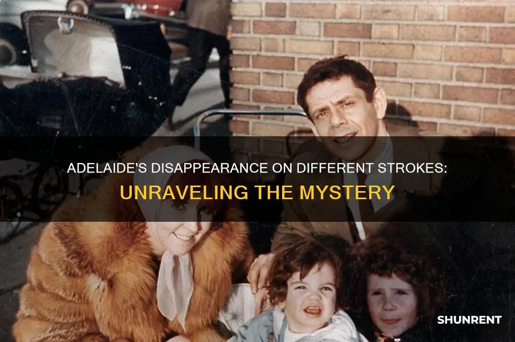 what happened to adelaide on different strokes