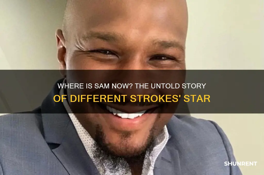what happened to sam from different strokes