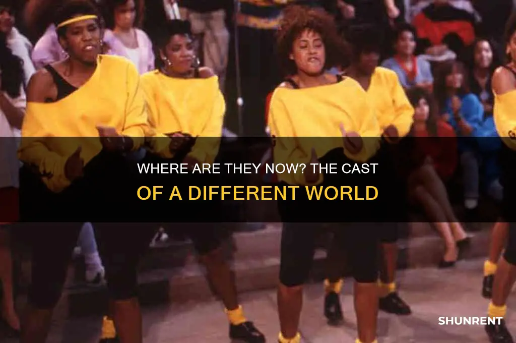 what happened to the cast of different world