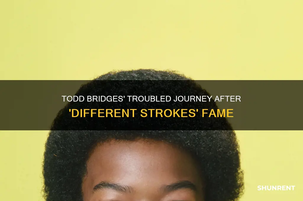 what happened to todd bridges on different strokes