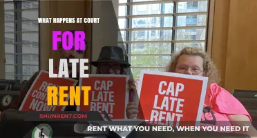 Late Rent Court Proceedings: What Tenants and Landlords Should Expect