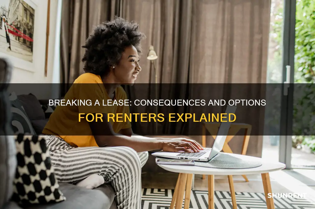 what happens if a renter breaks a lease