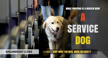 Denying Service Dogs: Legal Consequences for Renters Explained