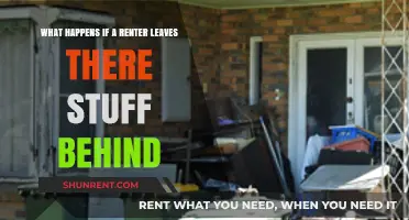 Renter's Leftover Belongings: Legal Responsibilities and Next Steps for Landlords