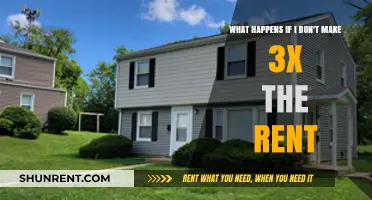 Failing to Earn 3x Rent: Consequences and Alternatives for Renters