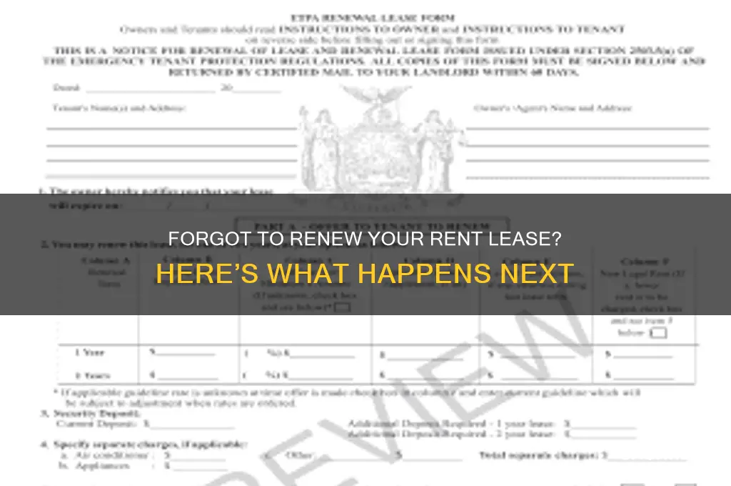 what happens if i forgot to renew my rent lease