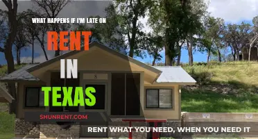 Late Rent in Texas: Consequences, Rights, and What to Do Next