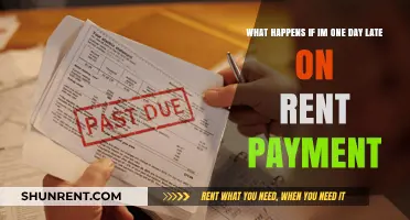 Late Rent Consequences: What Happens If You Pay One Day Late?