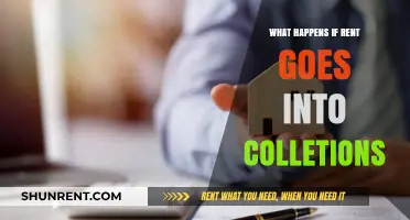 Rent in Collections: Consequences, Credit Impact, and Recovery Steps