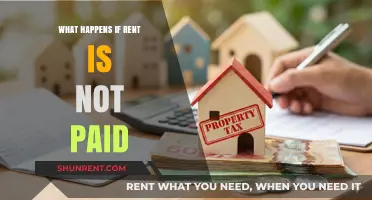 Consequences of Unpaid Rent: Legal Actions and Tenant Rights Explained
