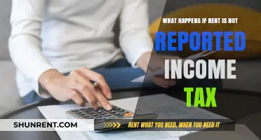 Unreported Rental Income: Tax Implications and Consequences for Landlords