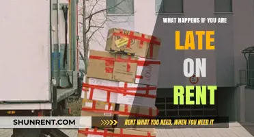 Late Rent: Understanding Your Rights and Options
