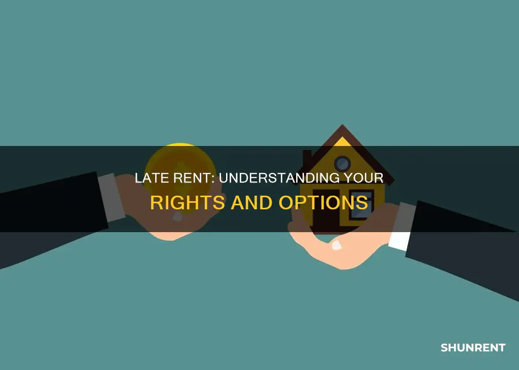 what happens if you are late on rent