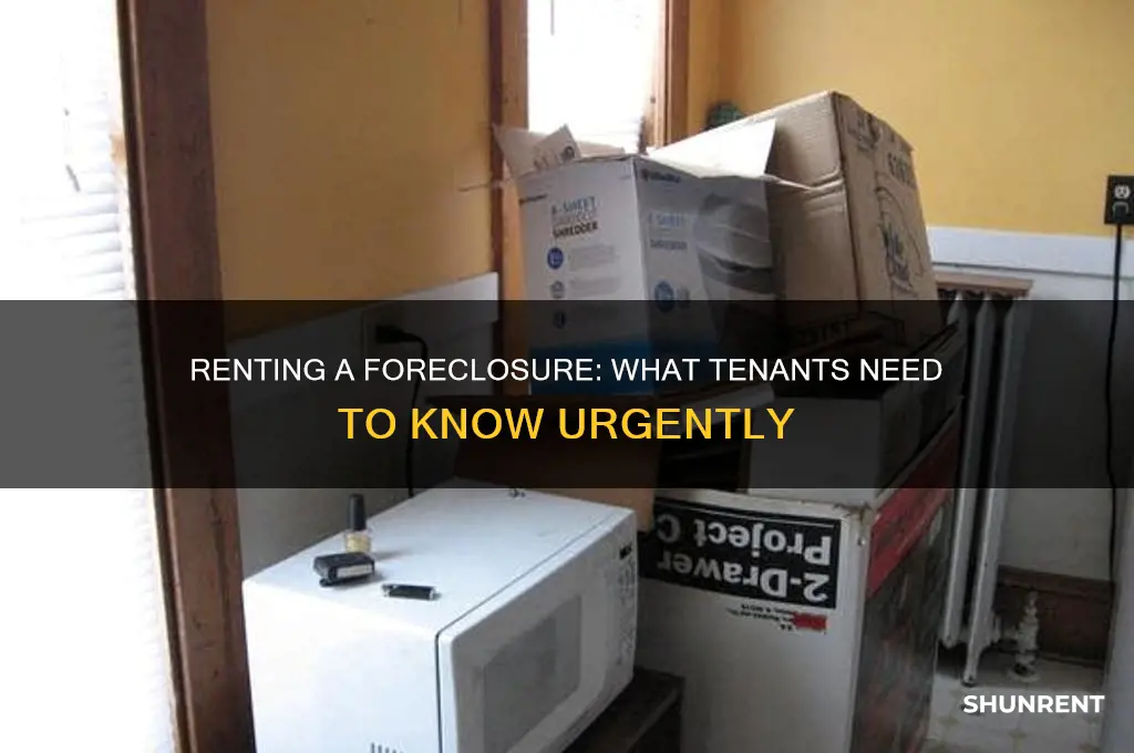 what happens if you are renting a foreclosure