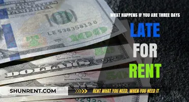 Consequences of Late Rent: What Happens After 3 Days Overdue?