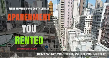 Neglecting Rental Cleaning: Consequences and Risks for Tenants and Landlords