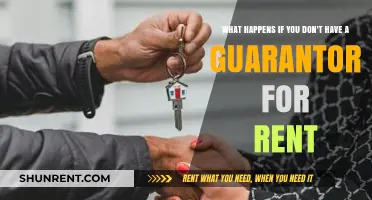 Renting Without a Guarantor: Challenges and Alternative Solutions Explained