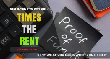 Failing to Earn 3x Rent: Consequences and Solutions for Renters
