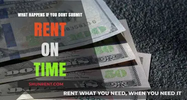 Consequences of Late Rent: What Happens If You Don't Pay on Time?