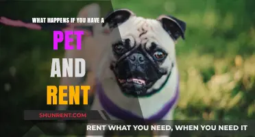 Renting with Pets: Navigating Lease Agreements and Pet Policies