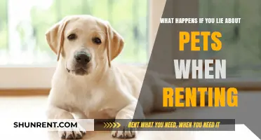 Lying About Pets When Renting: Risks, Consequences, and Honest Alternatives