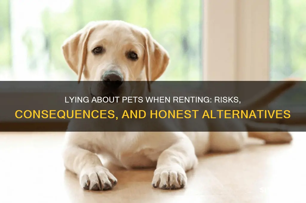 what happens if you lie about pets when renting