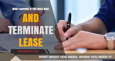 Consequences of Missing Rent and Terminating Your Lease Early: What to Expect