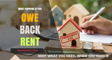 Consequences of Unpaid Rent: What Happens When You Owe Back Rent?